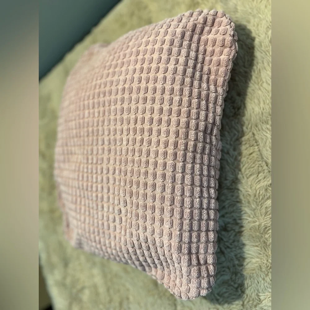 Cat Pillow and Cover‎